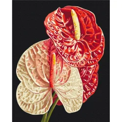 Картина за номерами "Антуріум" BS54136, 40х50 см 