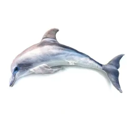 Дитяча м'яка іграшка "Дельфін" DOL, розмір 80 см 