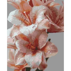 Картина за номерами "Краплі тиші" ©arttem_illustration 13169-AC 40х50 см