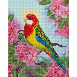 Алмазна мозаїка "Папуга у квітах" DBS1027, 40х50 см