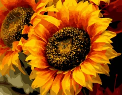 Картина за номерами. Art Craft "Шпигун сонця" 40 * 50 см 13106-AC