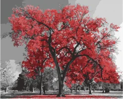 Картина за номерами. Art craft "канадський ясен" 40 * 50 см 10523-ac