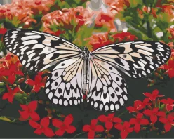 Картина за номерами. Art Craft "Красуня в кольорах" 40х50 см 13119-AC