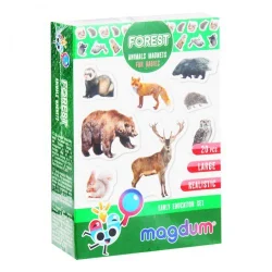 Набір магнітів "Лісові мешканці"