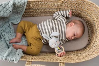 Брязкальце колекції &quot;Садочок у місті&quot; – КРОЛИК РАЙЛІ