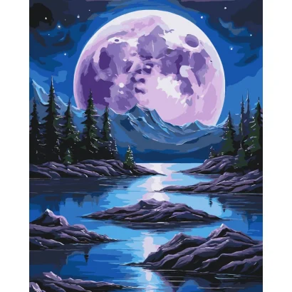 Картина за номерами "Нічна магія" 11059-AC 40х50 см
