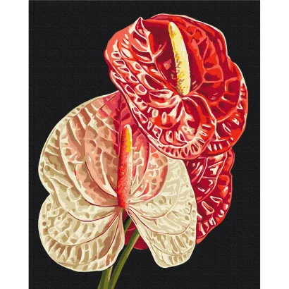 Картина за номерами "Антуріум" BS54136, 40х50 см 