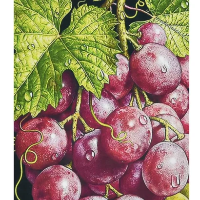 Алмазна мозаїка "Грона багатства" HEG87076 30х40 см 