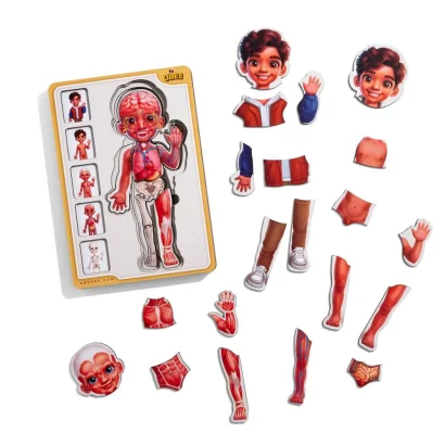 Дерев'яний пазл-вкладиш "Анатомія людини - хлопчик-2" (ПСД261) PSD261 будова тіла