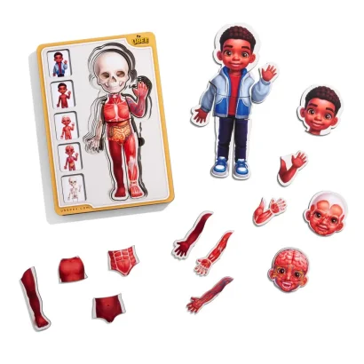 Дерев'яний пазл-вкладиш "Анатомія людини - хлопчик-3" (ПСД262) PSD262 будова тіла