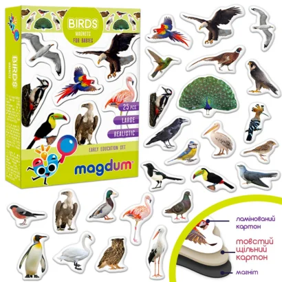 Дитячий набір магнітів Птахи фото Magdum ML4031-30 EN