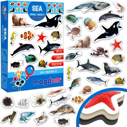 Дитячий набір магнітів Морські мешканці фото ML4031-28 EN