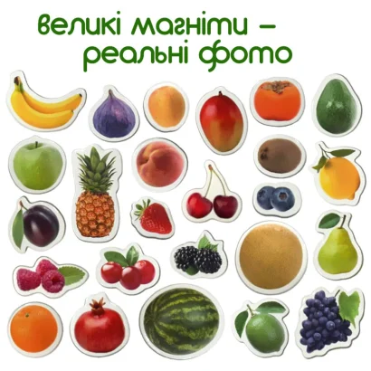 Набір магнітів Magdum "Фрукти і ягоди" ML4031-11 EN
