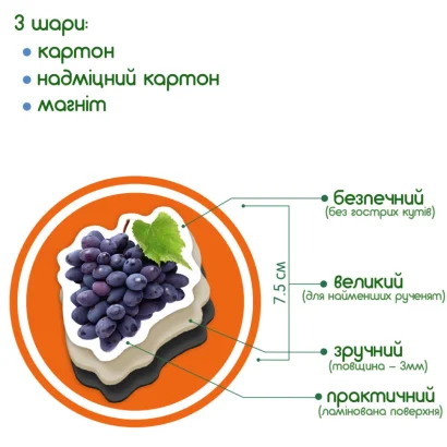 Набір магнітів Magdum "Фрукти і ягоди" ML4031-11 EN
