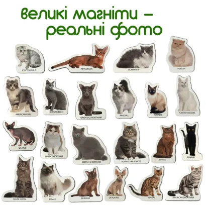 Набір магнітів Magdum "Породи кішок" ML4031-13 EN