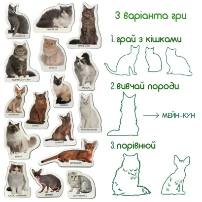 Набір магнітів Magdum "Породи кішок" ML4031-13 EN