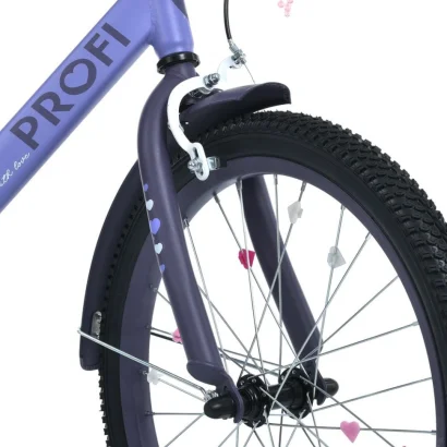 Велосипед дитячий MB 20043-1 колеса 20 дюймів, фіолетовий