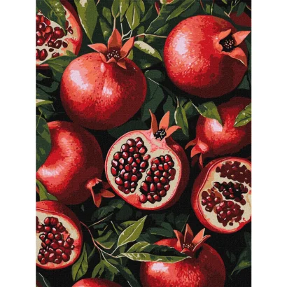 Картина за номерами "Гранат у розрізі" &copy;art_selena_ua KHO5731, 30х40 см