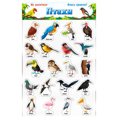 Набір магнітів "Птахи" 1311ATS