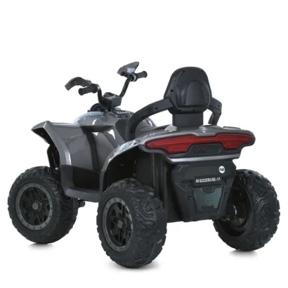 Дитячий квадроцикл-толокар 3 в 1 M 6222EBLRS-11 до 23 кг