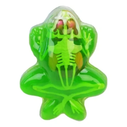 Дитячий лабораторнний набір Жаба 801B, скелет, внутрішні органи