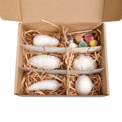 Набір для творчості Гіпсові розмальовки "Розфарбуй овочі" 31000