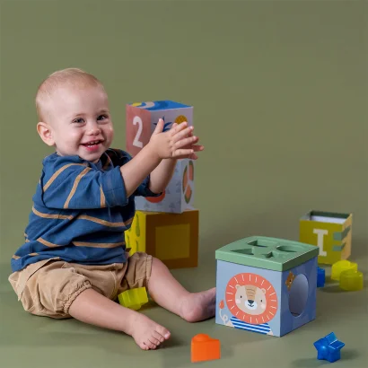 Розвиваючий сортер-пірамідка колекції "Саванна" - КУБИКИ АФРИКА