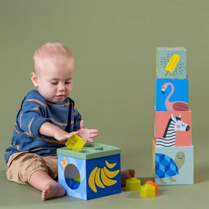 Розвиваючий сортер-пірамідка колекції "Саванна" - КУБИКИ АФРИКА