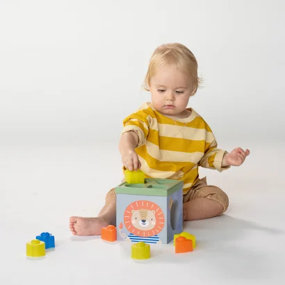 Розвиваючий сортер-пірамідка колекції "Саванна" - КУБИКИ АФРИКА