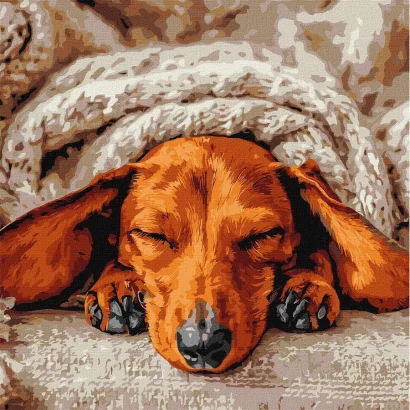 Картина за номерами "Солодкий спокій" &copy;art_selena_ua KHO6840, 40х40 см