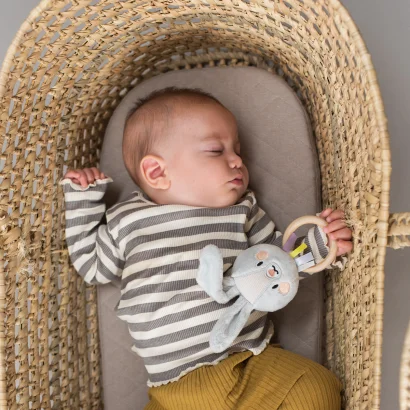 Брязкальце колекції &quot;Садочок у місті&quot; – КРОЛИК РАЙЛІ