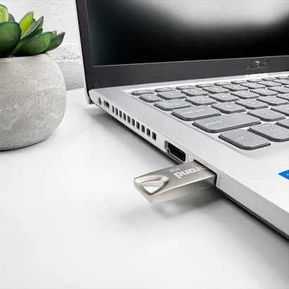 Флеш-накопичувач Wibrand USB 2.0 Taipan 4Gb Silver