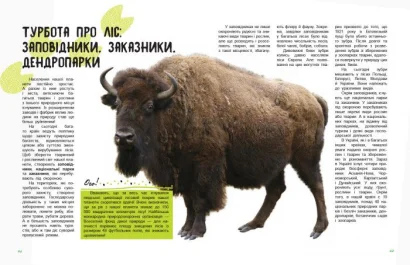 Дитяча книга &quot; Світ і його таємниці: Життя лісу&quot; 740002 укр. мовою