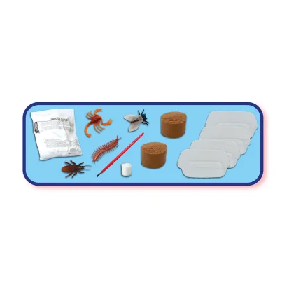 Набір серії "Дослідник" - СКАМ'ЯНІЛОСТІ КОМАХ, ЩО СВІТЯТЬСЯ (фігурки комах, гіпс, фарби, пензлик)