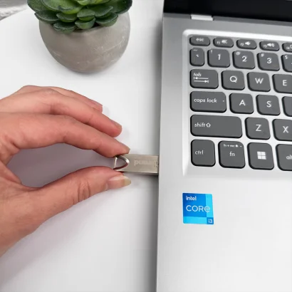 Флеш-накопичувач Wibrand USB 2.0 Taipan 16Gb Silver