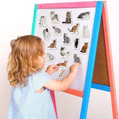 Набір магнітів Magdum &quot;Породи кішок&quot; ML4031-13 EN