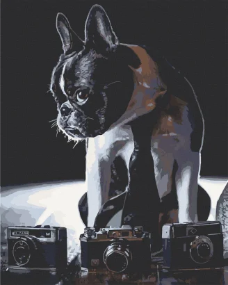 Картина за номерами. Art Craft Сором'язливий фотограф 40х50 см 11642-AC