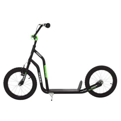 Самокат міський iTrike SR 2-044-B підлітковий