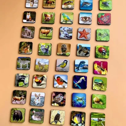 Настільна розвиваюча гра &quot;Види тварин&quot; Ubumblebees (ПСФ110) PSF110 комодик-сортер