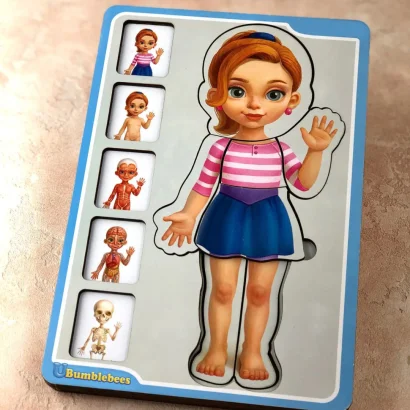 Дерев'яний пазл-вкладиш "Анатомія людини &ndash; дівчинка" Ubumblebees (ПСФ025) PSF025 будова тіла