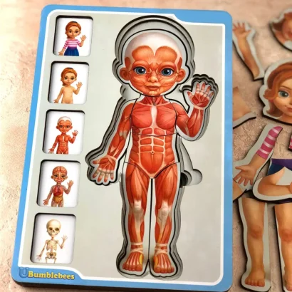 Дерев'яний пазл-вкладиш "Анатомія людини &ndash; дівчинка" Ubumblebees (ПСФ025) PSF025 будова тіла