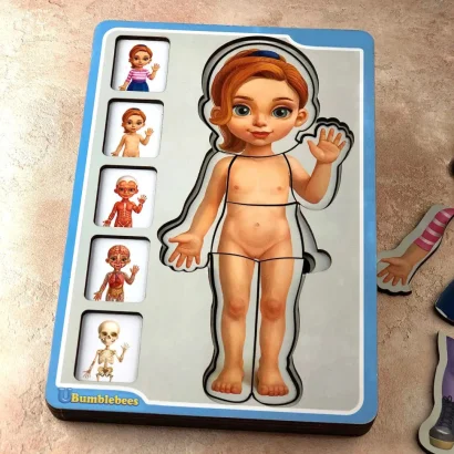 Дерев'яний пазл-вкладиш "Анатомія людини &ndash; дівчинка" Ubumblebees (ПСФ025) PSF025 будова тіла