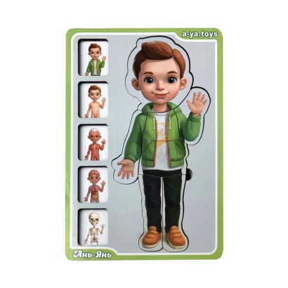 Дерев'яний пазл-вкладиш "Анатомія людини &ndash; хлопчик" Ubumblebees (ПСФ026) PSF026 будова тіла