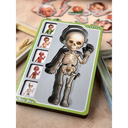 Дерев'яний пазл-вкладиш "Анатомія людини &ndash; хлопчик" Ubumblebees (ПСФ026) PSF026 будова тіла