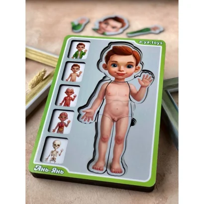 Дерев'яний пазл-вкладиш "Анатомія людини &ndash; хлопчик" Ubumblebees (ПСФ026) PSF026 будова тіла