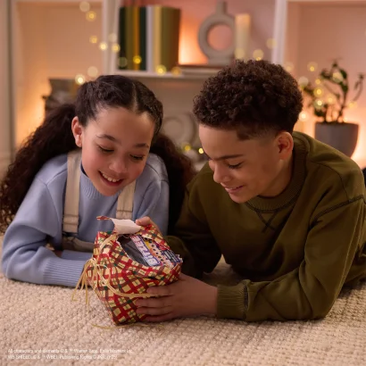 Інтерактивна іграшка з віртуальними цифровими героями BITZEE - ГАРРІ ПОТТЕР