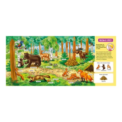 Мій перший словничок &quot;У лісі&quot; Ранок 116032 з віконцями