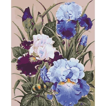 Картина за номерами "Півники" Art Craft 13145-AC 40х50 см