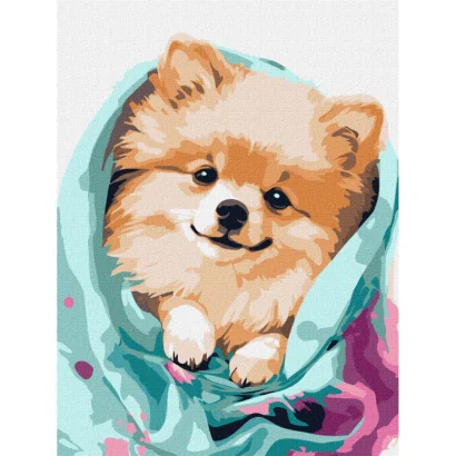 Картина за номерами "Щасливий шпіц" &copy;art_selena_ua KHO6545 30х40 см