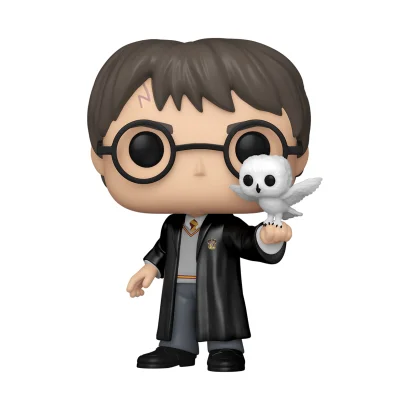 Ігрова фігурка FUNKO POP! серії "Гаррі Поттер" S20 - ГАРРІ З ГЕДВІҐОЮ